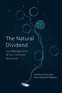 bokomslag The Natural Dividend