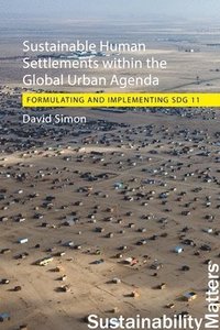 bokomslag Sustainable Human Settlements within the Global Urban Agenda