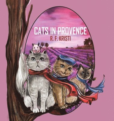 Cats in Provence 1