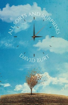 David Burt - All Sorts and Surprises, Häftad
