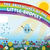 bokomslag The Adventures of the little droplet