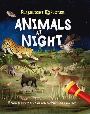 Flashlight Explorer: Animals at Night 1