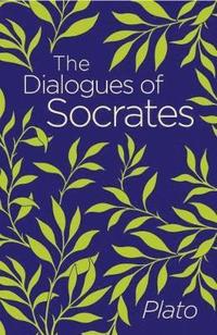 bokomslag The Dialogues of Socrates
