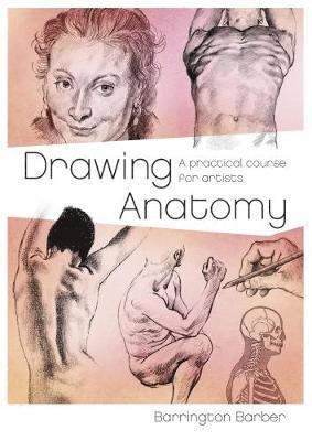 Barrington Barber - Drawing Anatomy, Häftad
