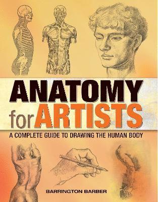 Anatomy for Artists 1