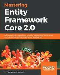 bokomslag Mastering Entity Framework Core 2.0