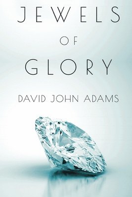 bokomslag Jewels of Glory