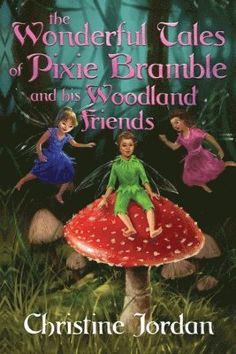 bokomslag wonderful tales of pixie Bramble and his woodland friends