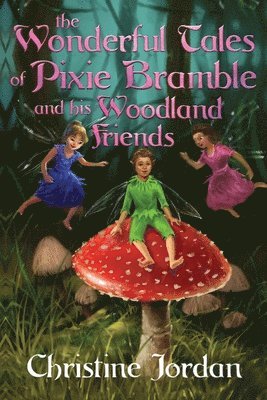 The wonderful tales of pixie Bramble and his woodland friends 1