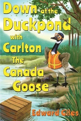 Down at the Duckpond with Carlton the Canada Goose 1