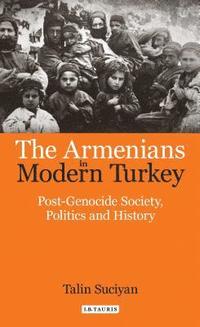 bokomslag The Armenians in Modern Turkey