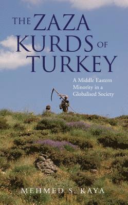bokomslag The Zaza Kurds of Turkey: A Middle Eastern Minority in a Globalised Society