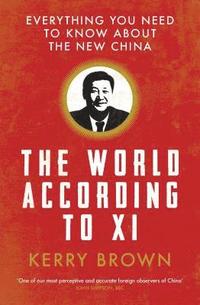 bokomslag The World According to Xi