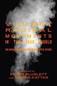 bokomslag Violent Radical Movements in the Arab World