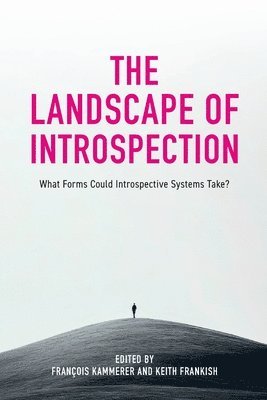 The Landscape of Introspection 1