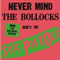 bokomslag The Sex Pistols - 1977: The Bollocks Diaries