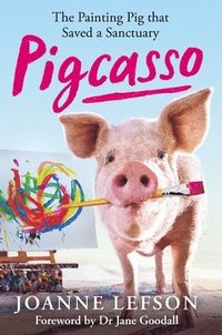 bokomslag Pigcasso