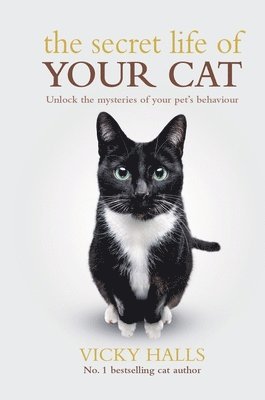 bokomslag Secret Life Of Your Cat