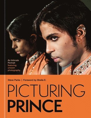 Picturing Prince