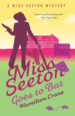 bokomslag Miss Seeton Goes to Bat