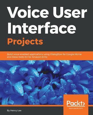 Voice User Interface Projects 1