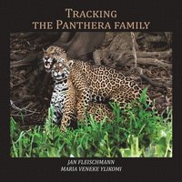 bokomslag Tracking the Panthera family