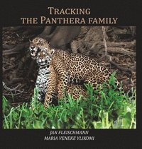 bokomslag Tracking the Panthera family