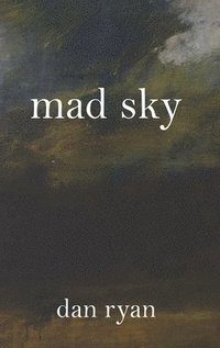 bokomslag Mad Sky