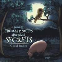bokomslag Thomas P Nutt's After School Secrets