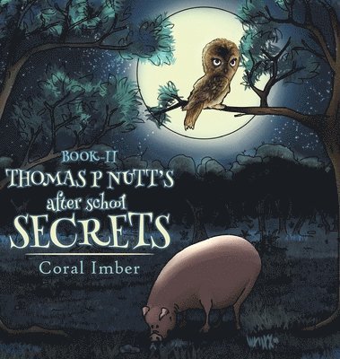 bokomslag Thomas P Nutt's After School Secrets