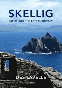 bokomslag Skellig