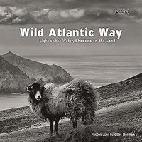 bokomslag Wild Atlantic Way