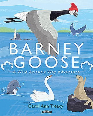 bokomslag Barney Goose