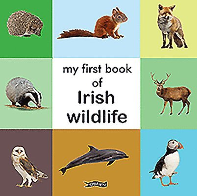 My First Book of Irish Wildlife 1