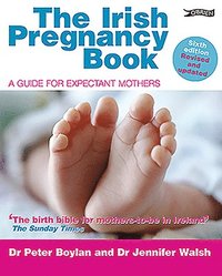 bokomslag The Irish Pregnancy Book