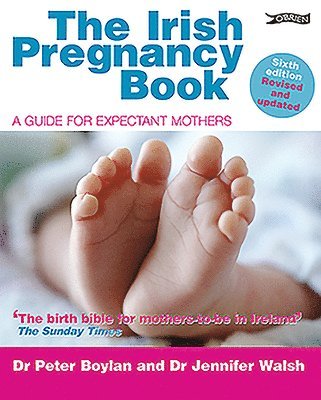 bokomslag The Irish Pregnancy Book