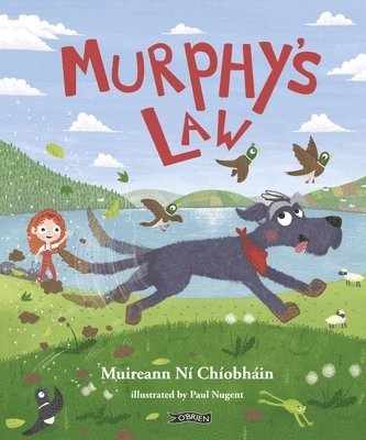 Murphy's Law 1