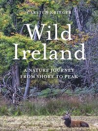 bokomslag Wild Ireland