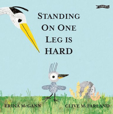 Erika McGann - Standing on One Leg is Hard, Inbunden