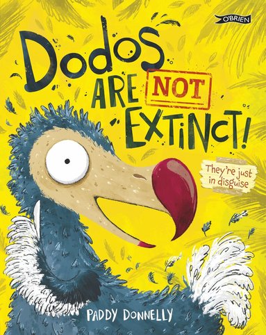 Paddy Donnelly - Dodos Are Not Extinct!, Häftad