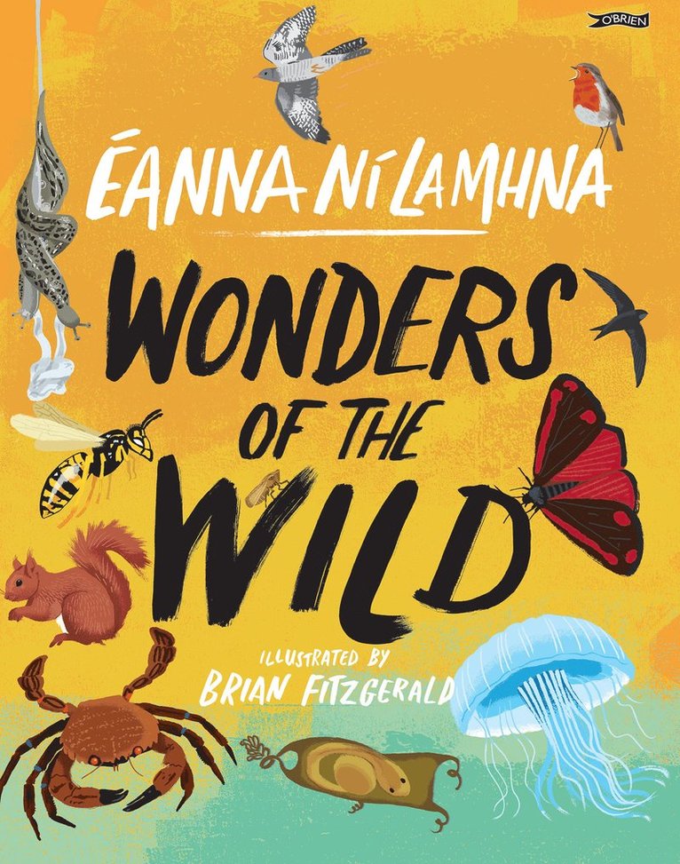 Wonders of the Wild