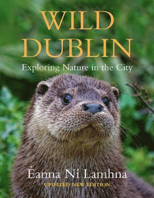 bokomslag Wild Dublin
