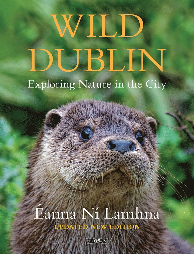 Wild Dublin