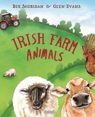 Irish Farm Animals 1