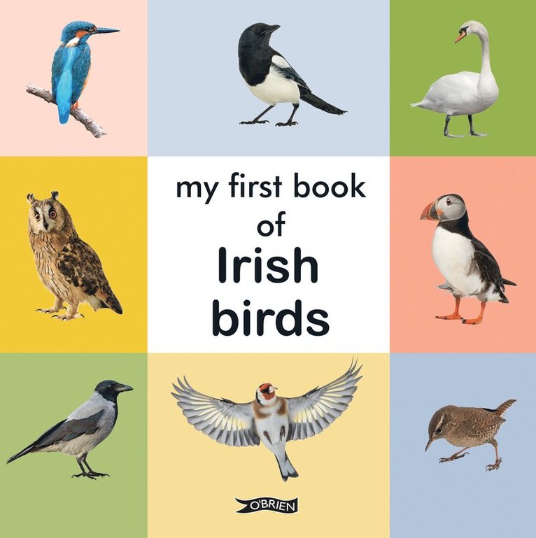 My First Book of Irish Birds