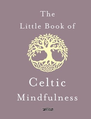 bokomslag Little Book of Celtic Mindfulness