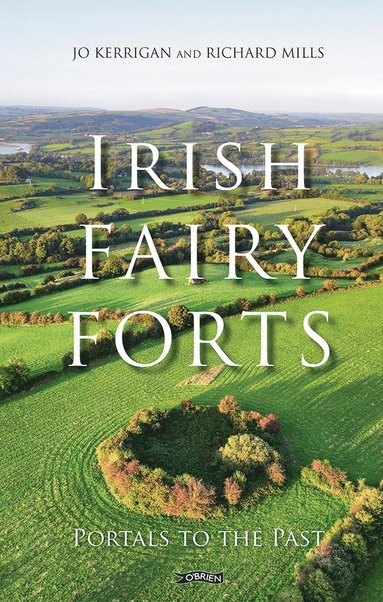 bokomslag Irish Fairy Forts