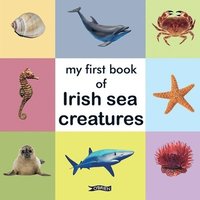bokomslag My First Book of Irish Sea Creatures