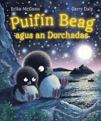 bokomslag Puifn Beag agus an Dorchadas