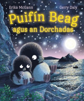 Gerry Daly, Erika McGann, Erika Mcgann - Puifín Beag agus an Dorchadas, Häftad